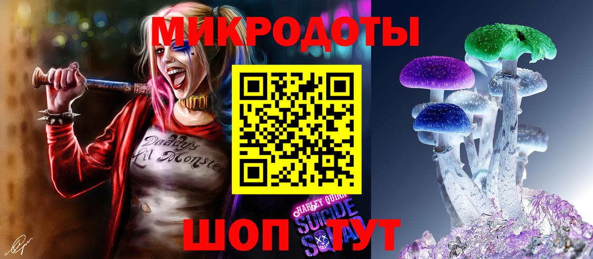 Галлюциногенные грибы Psilocybe Кропоткин